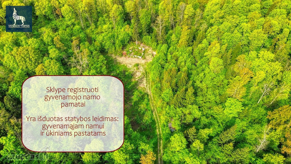 Parduodamas 7,7496 ha ūkinio miško sklypas - nuotraukos Nr. 2