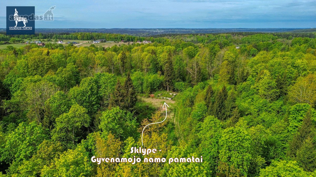 Parduodamas 7,7496 ha ūkinio miško sklypas - nuotraukos Nr. 3