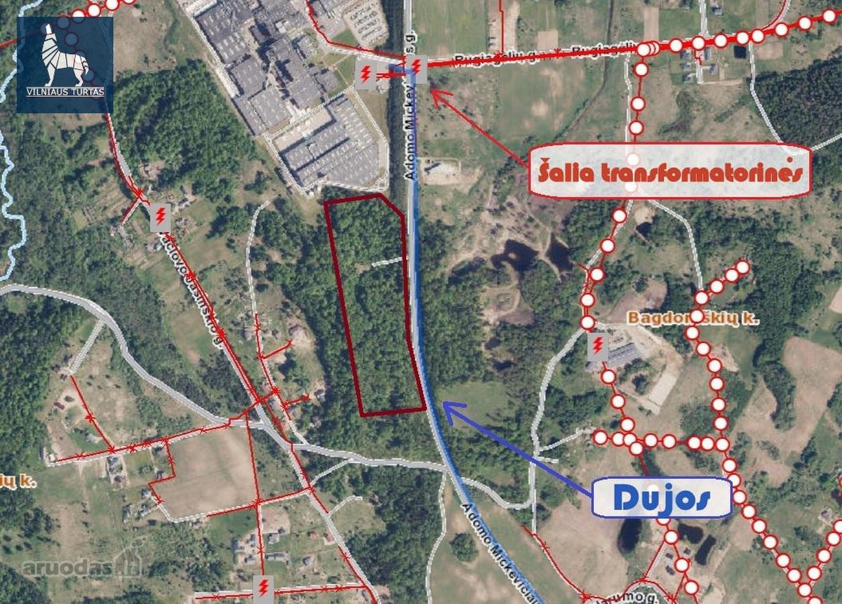 Parduodamas 7,7496 ha ūkinio miško sklypas - nuotraukos Nr. 5