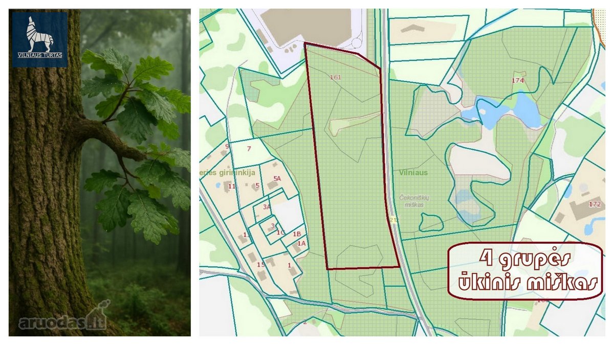 Parduodamas 7,7496 ha ūkinio miško sklypas - nuotraukos Nr. 6