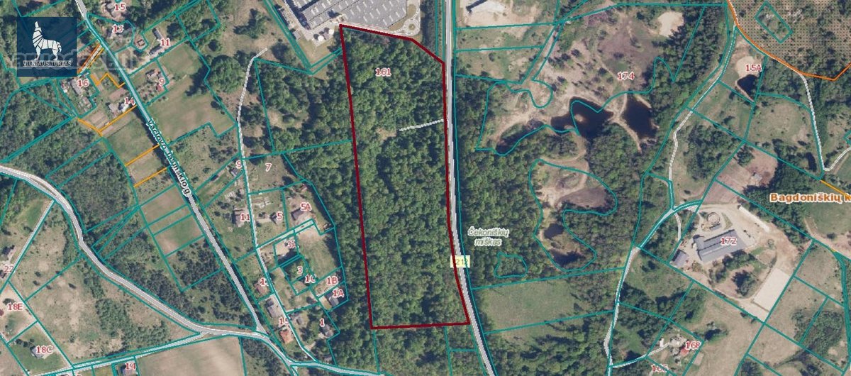 Parduodamas 7,7496 ha ūkinio miško sklypas - nuotraukos Nr. 8