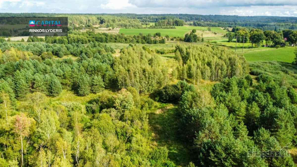 Parduodamas Žemės Ūkio Paskirties Sklypas - nuotraukos Nr. 2