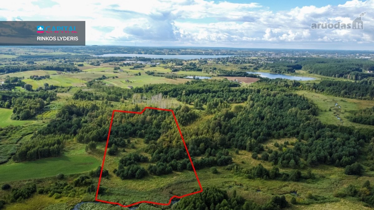 Parduodamas Žemės Ūkio Paskirties Sklypas - nuotraukos Nr. 3