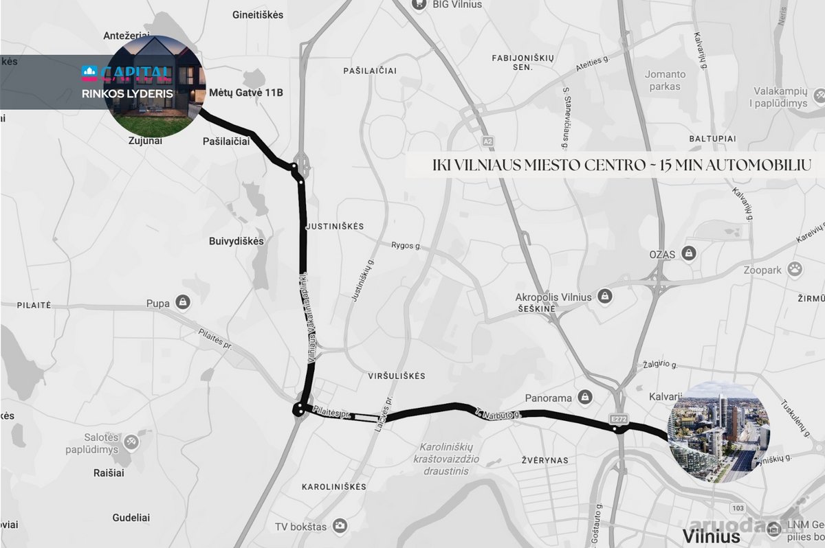 Antežeriuose, Vos 15 Min. Iki Miesto Centro, - nuotraukos Nr. 20