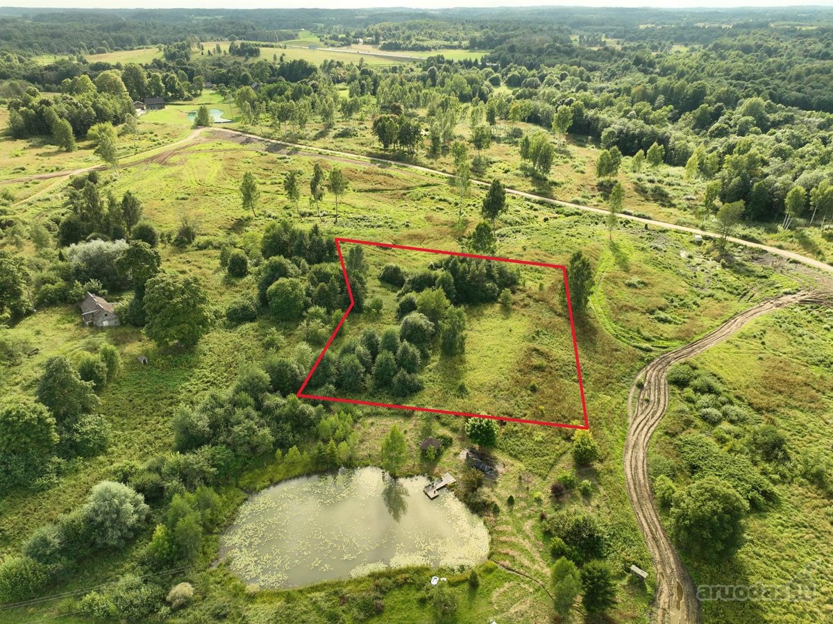 Parduodamas 50,31 a. Namų valdos sklypas - nuotraukos Nr. 2