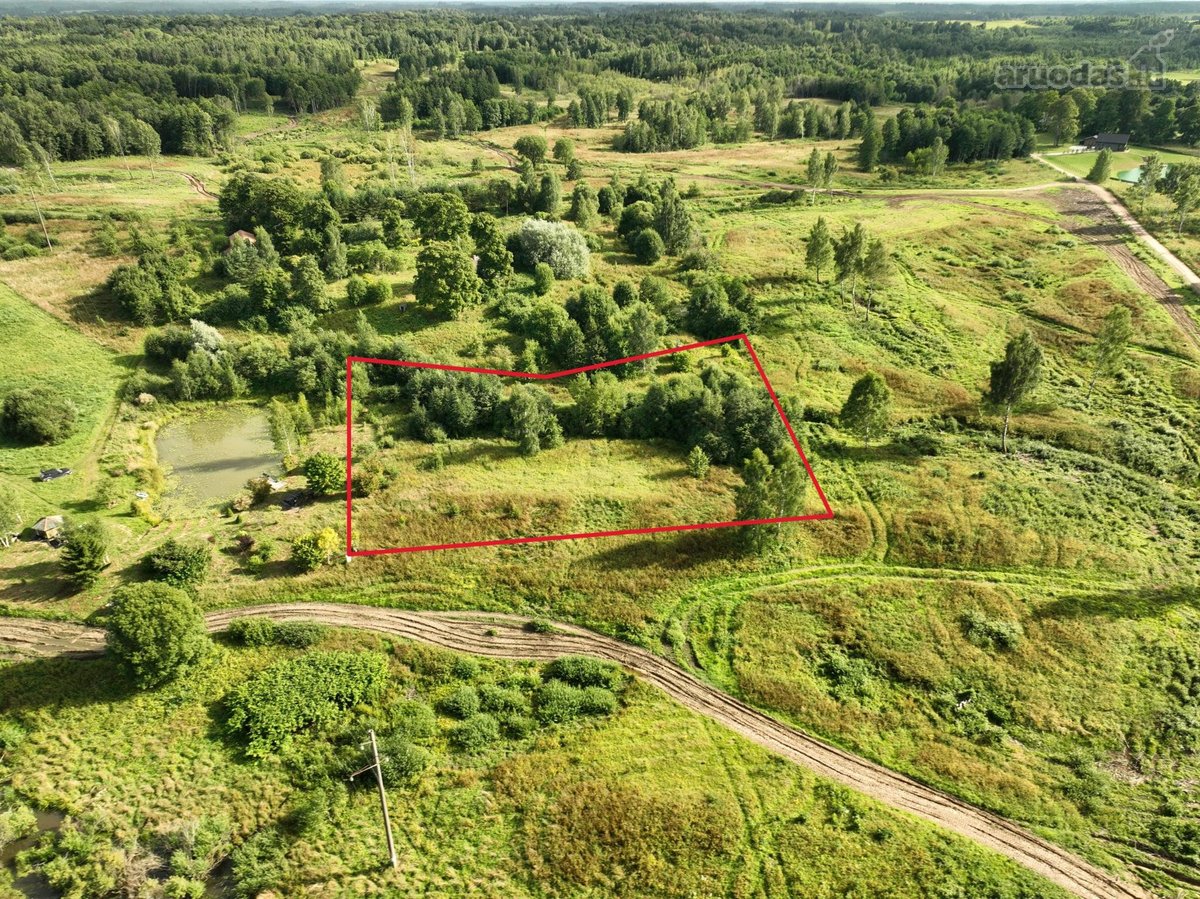 Parduodamas 50,31 a. Namų valdos sklypas - nuotraukos Nr. 3