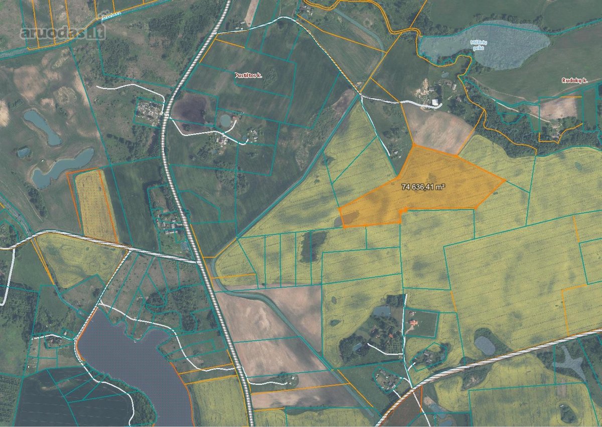 Parduodamas 7.4636 ha žemės ūkio paskirties - nuotraukos Nr. 2