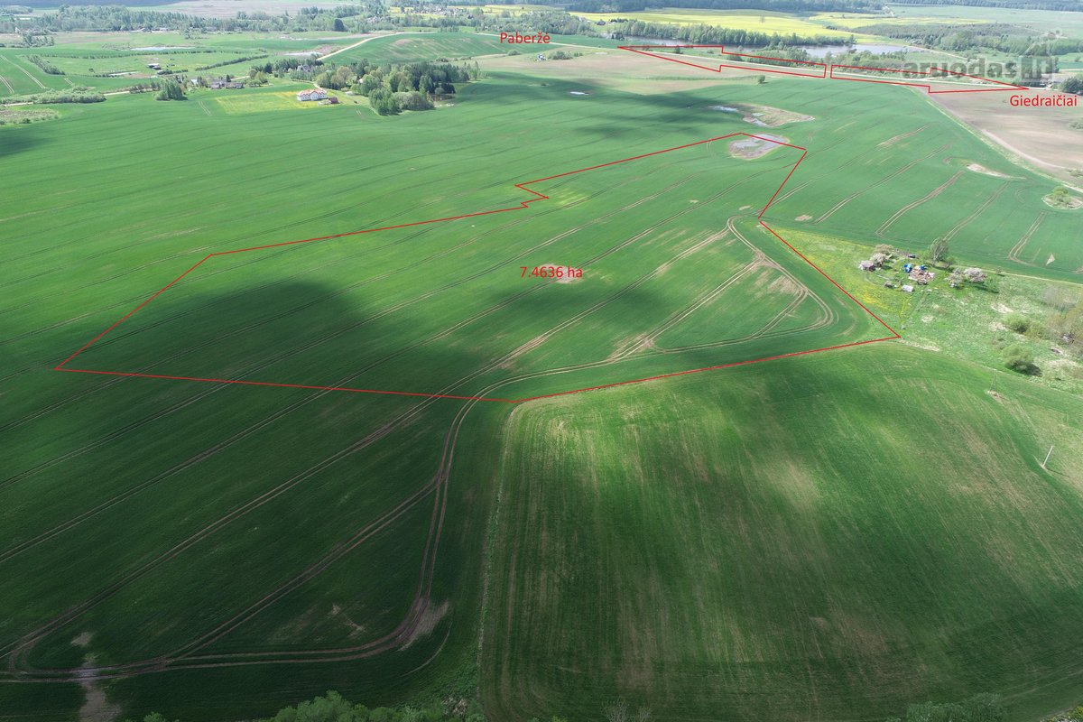 Parduodamas 7.4636 ha žemės ūkio paskirties - nuotraukos Nr. 4