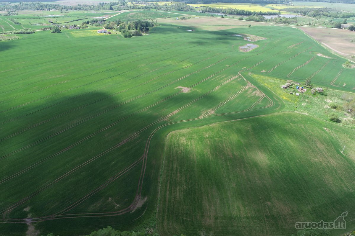 Parduodamas 7.4636 ha žemės ūkio paskirties - nuotraukos Nr. 12
