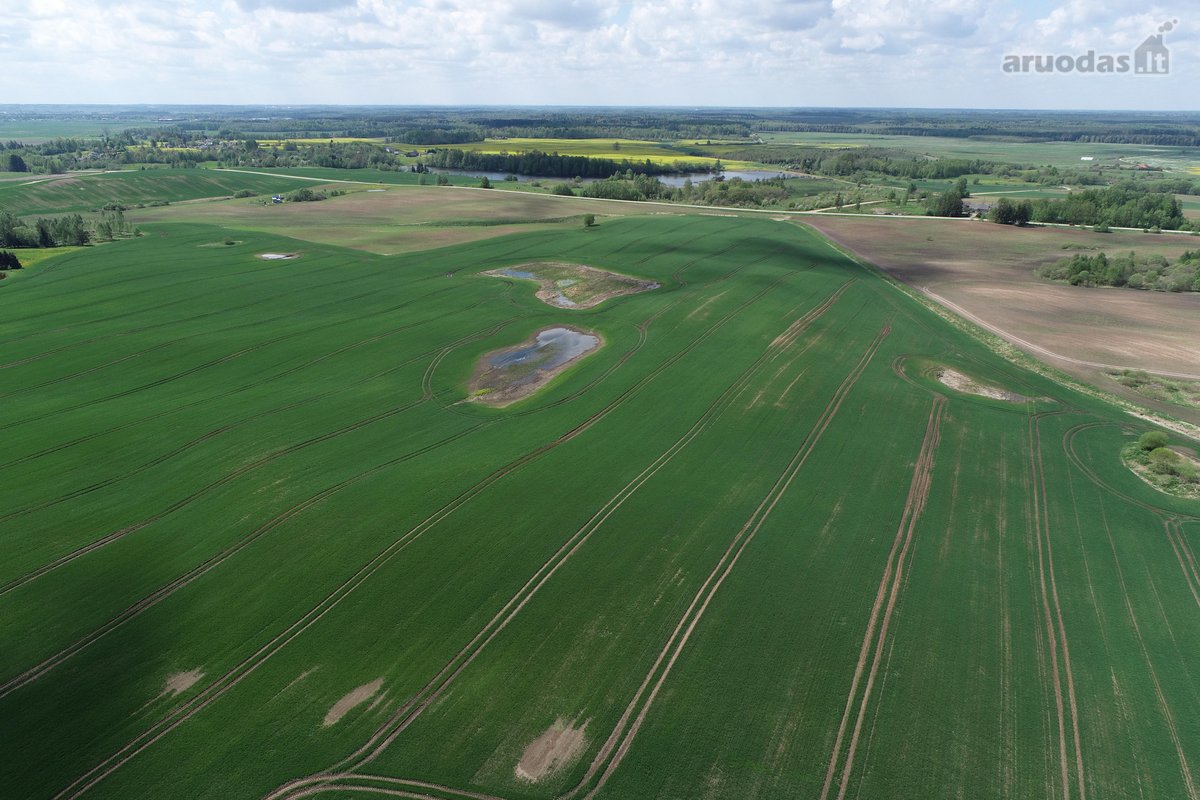 Parduodamas 7.4636 ha žemės ūkio paskirties - nuotraukos Nr. 13