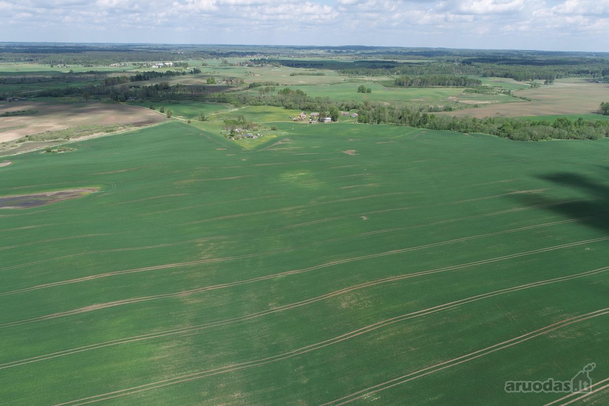 Parduodamas 7.4636 ha žemės ūkio paskirties - nuotraukos Nr. 14