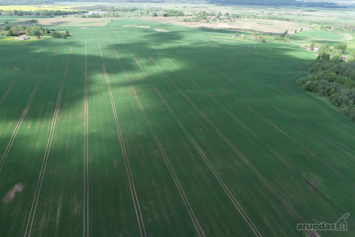 Parduodamas 7.4636 ha žemės ūkio paskirties - nuotraukos Nr. 15