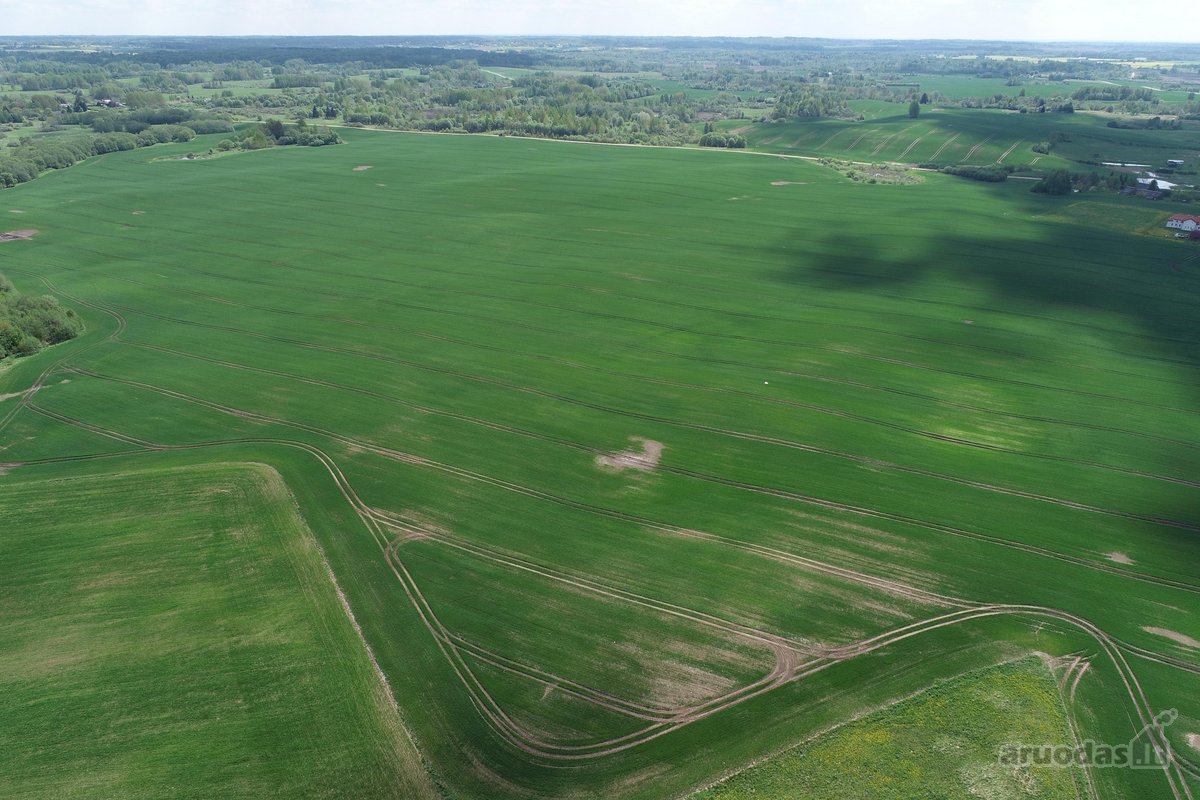 Parduodamas 7.4636 ha žemės ūkio paskirties - nuotraukos Nr. 16