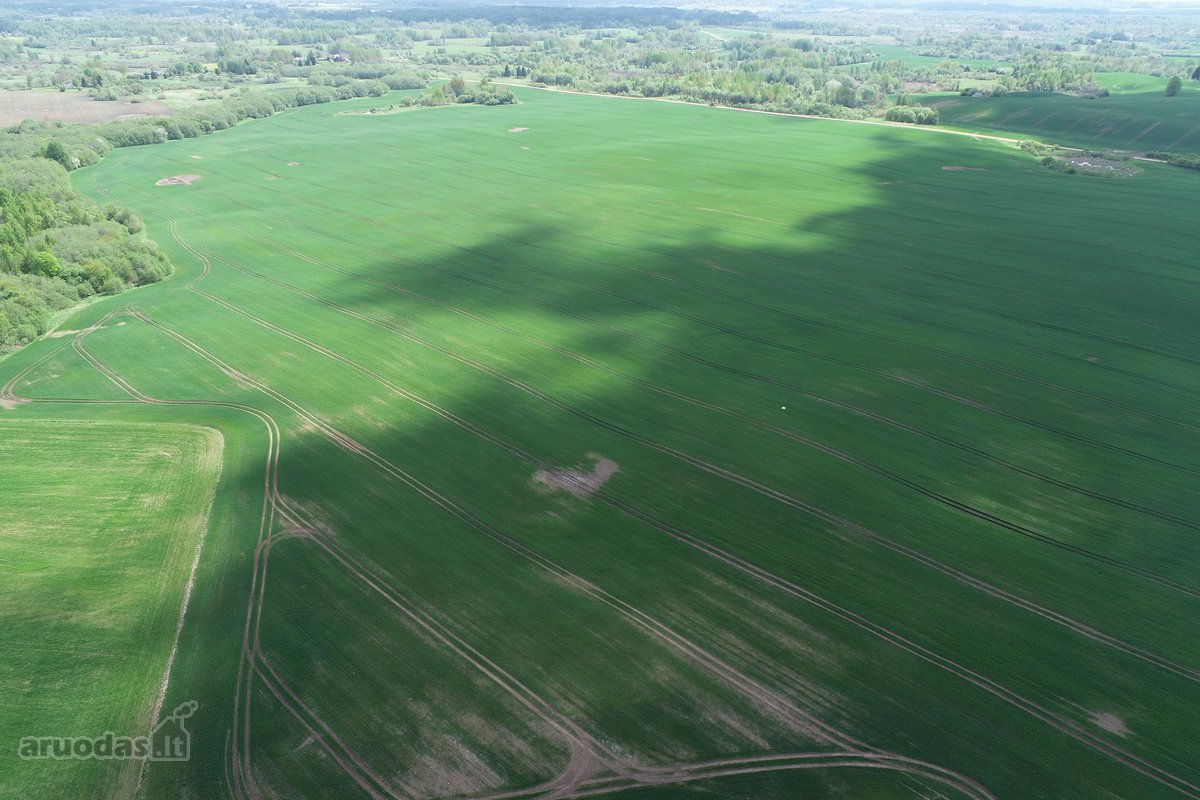 Parduodamas 7.4636 ha žemės ūkio paskirties - nuotraukos Nr. 17