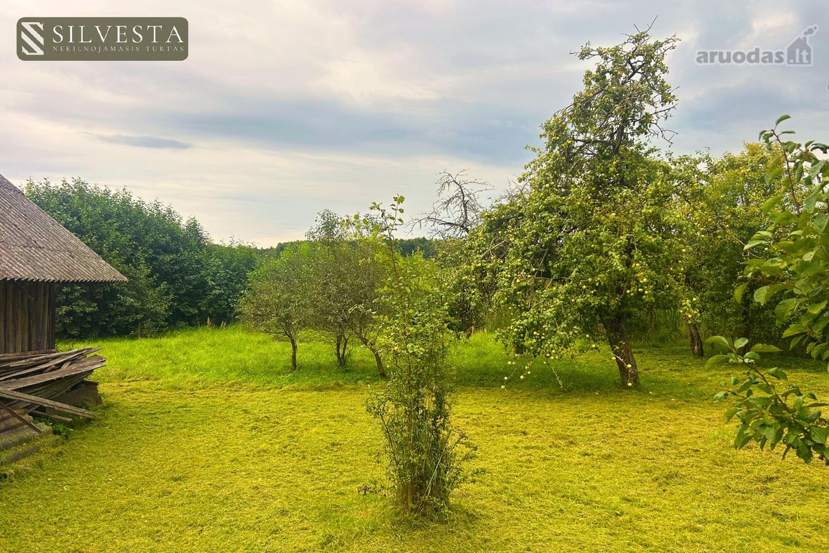 Šalčininkų r., Tribonių k., parduodamas 1,5 - nuotraukos Nr. 10