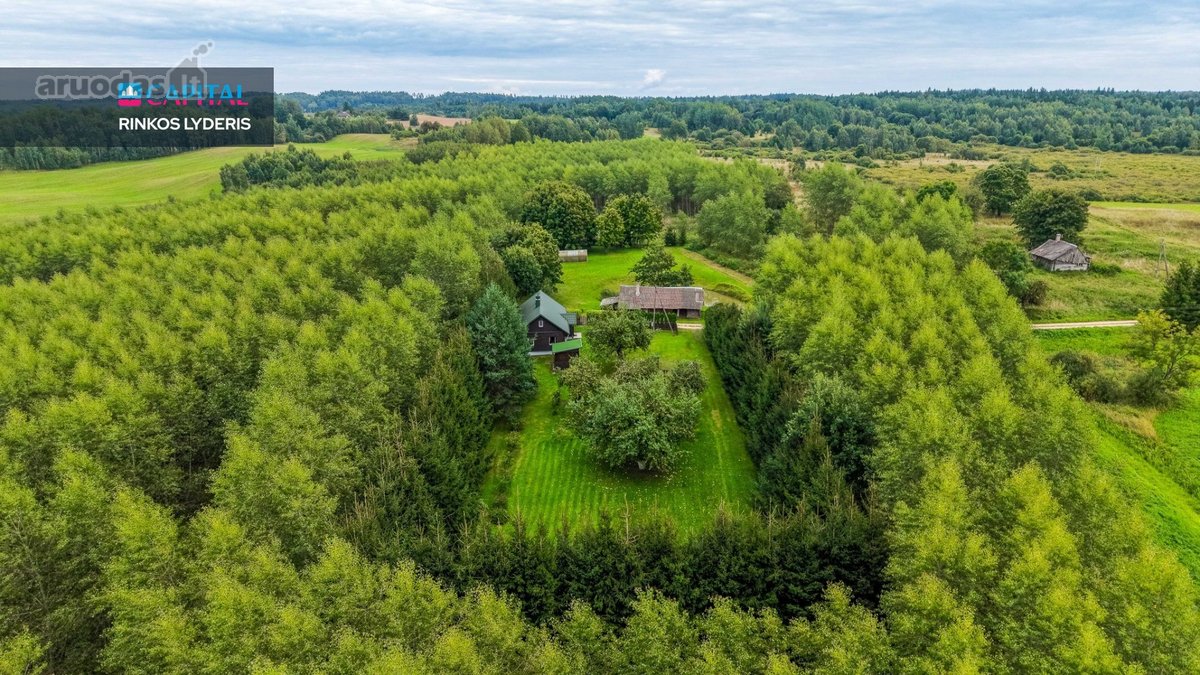 Jauki Sodyba Gamtos Apsuptyje – Poilsiui, - nuotraukos Nr. 28