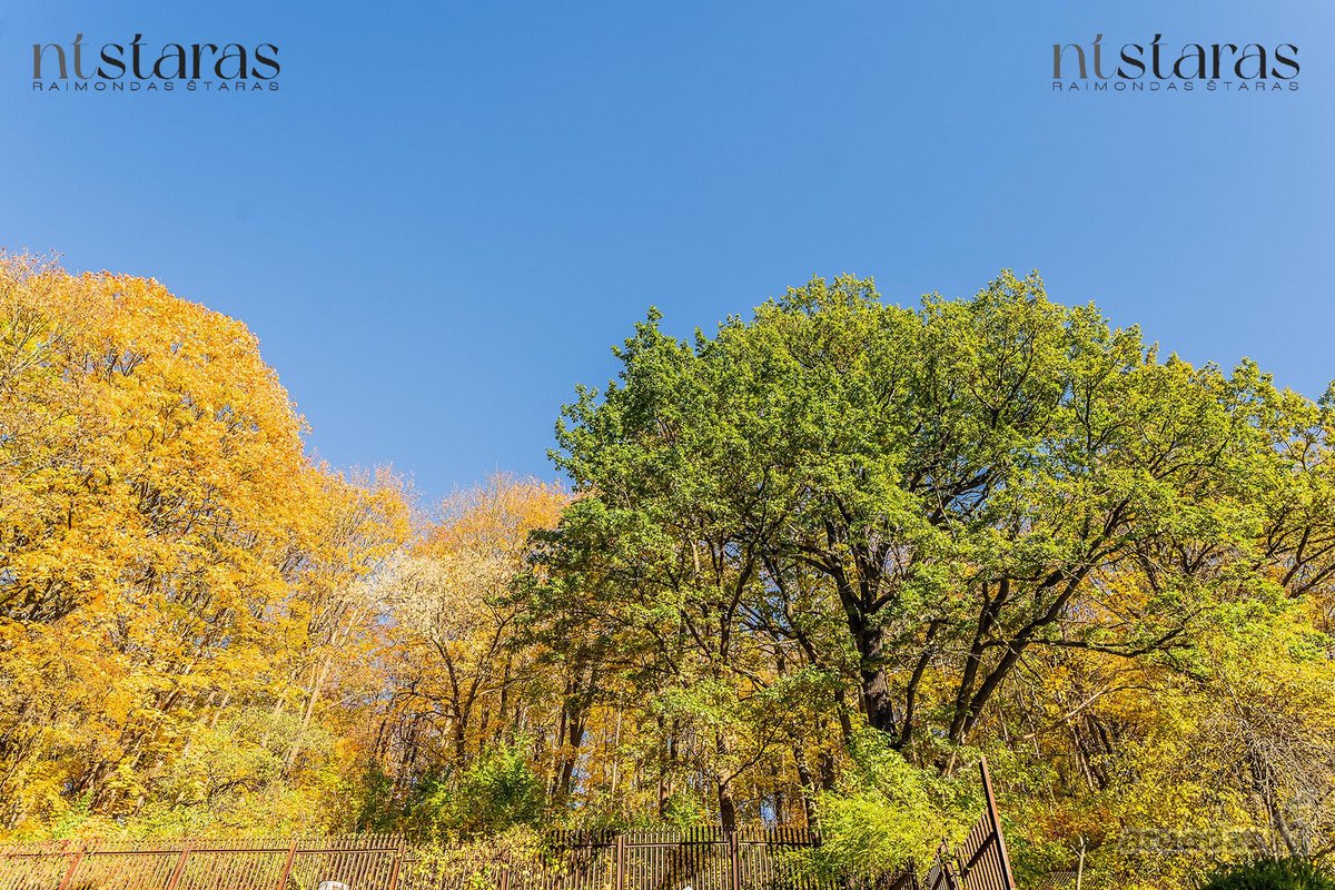 _ - nuotraukos Nr. 23