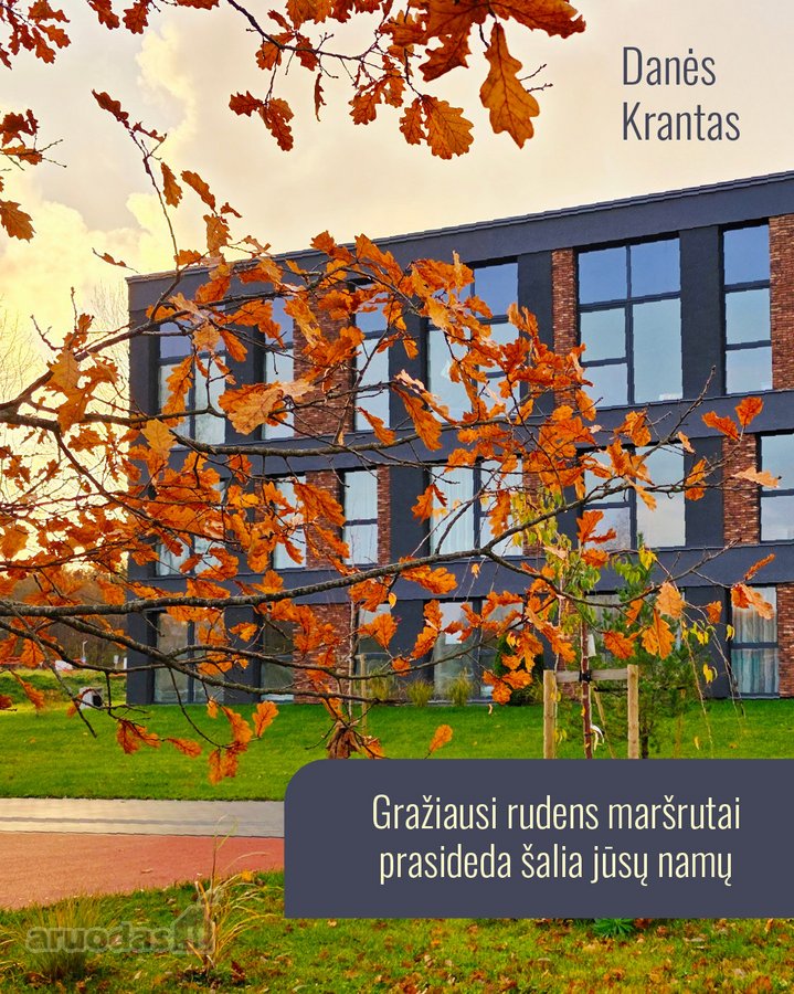 Naujojo „Danės krantas“ C etapo statybos - nuotraukos Nr. 6