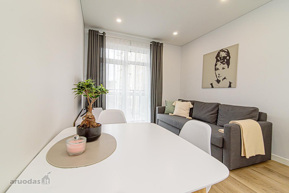 Išnuomojamas 2 kambarių ,42.54 m2 ,Šviesus Ir - nuotraukos Nr. 2