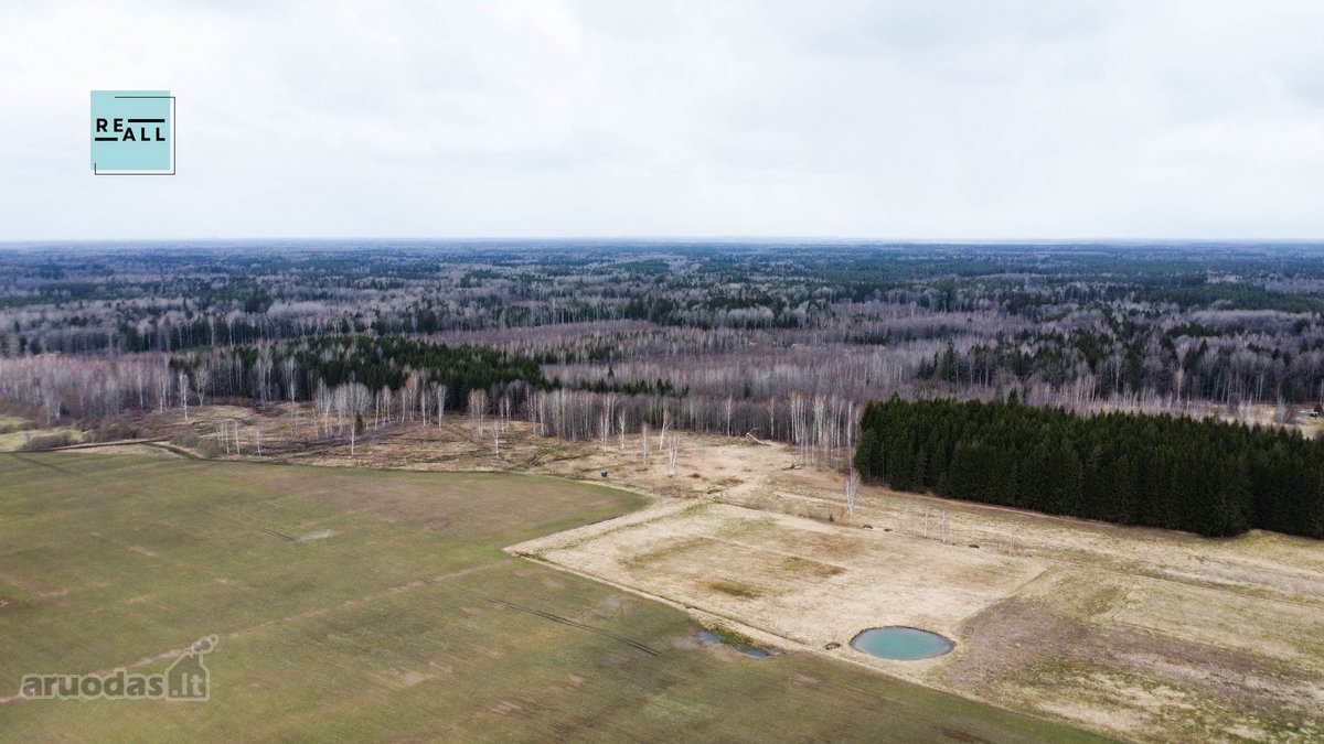Parduodamas 8,5 Ha Žemės Ūkio Paskirties - nuotraukos Nr. 3