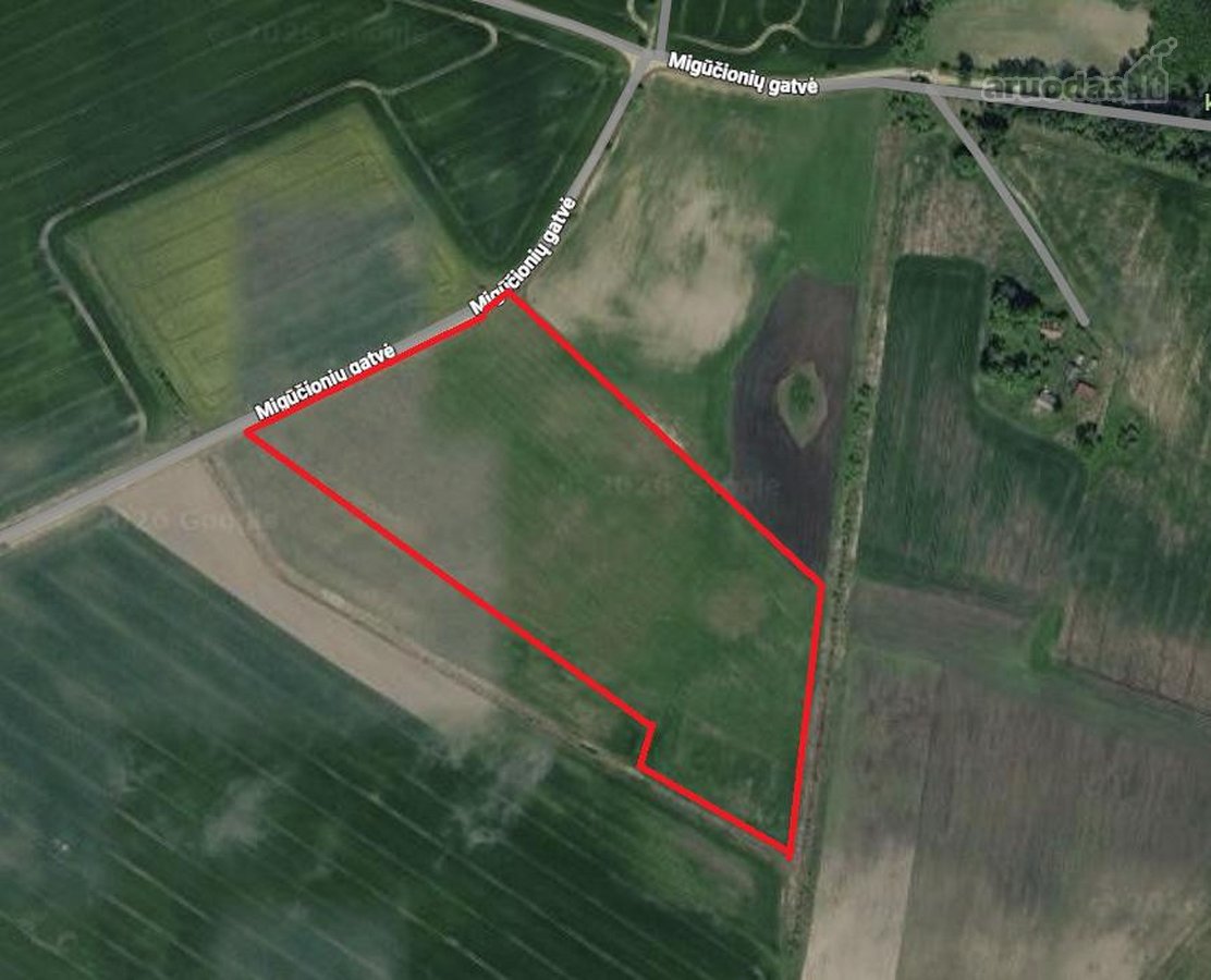 Parduodu 6.22 ha sklypo dalį iš 9,57 ha, su - nuotraukos Nr. 2
