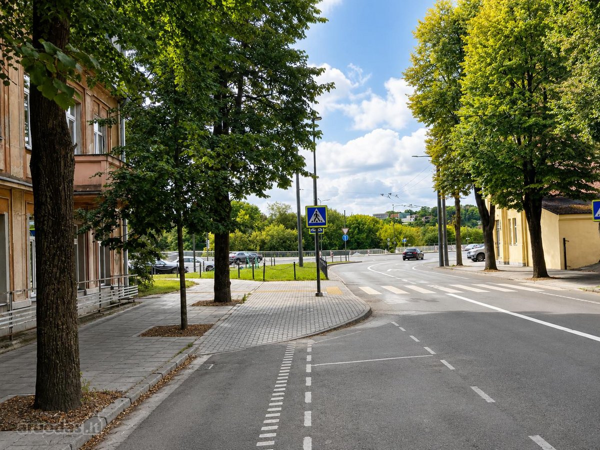I.kanto g. jungia miesto centrą - Naujamiestį - nuotraukos Nr. 12