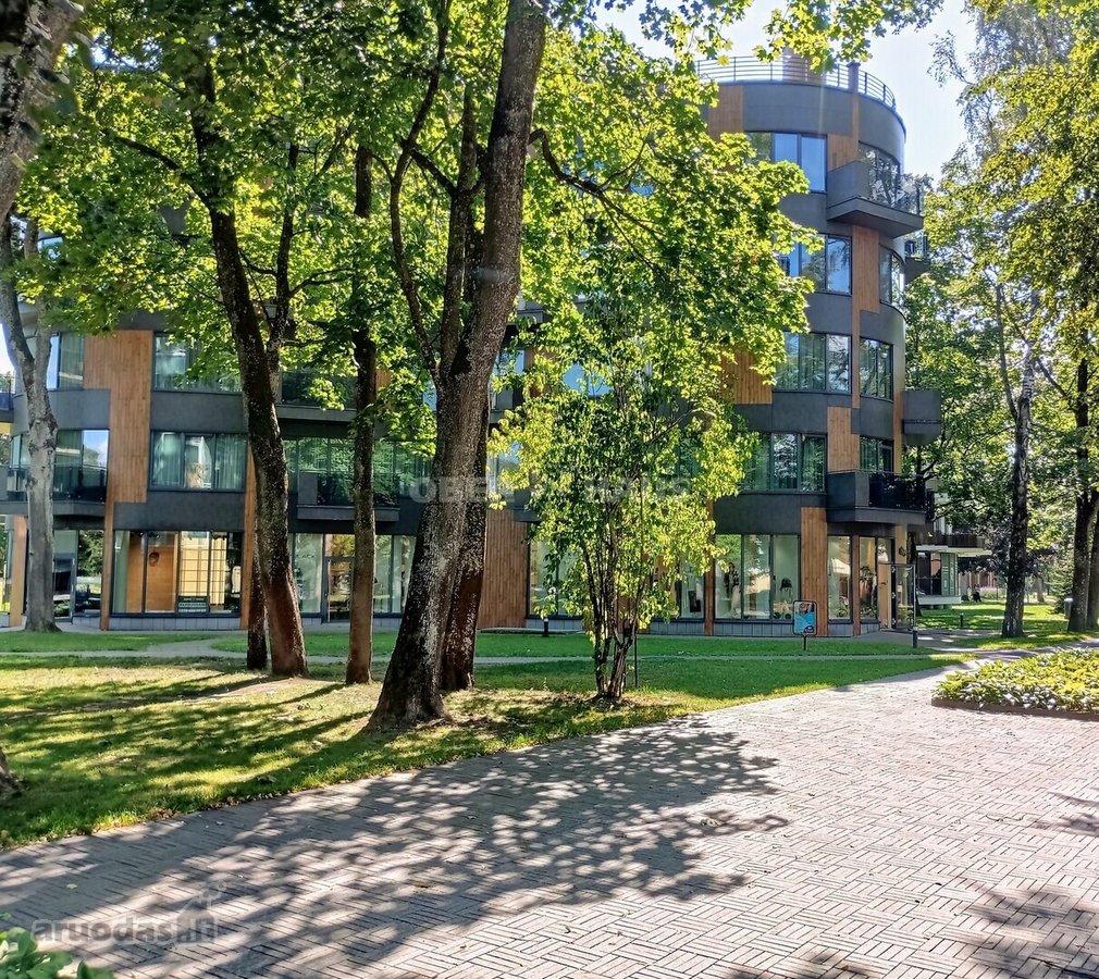 Pačiame Druskininkų centre ,Saulės Sonata, - nuotraukos Nr. 18