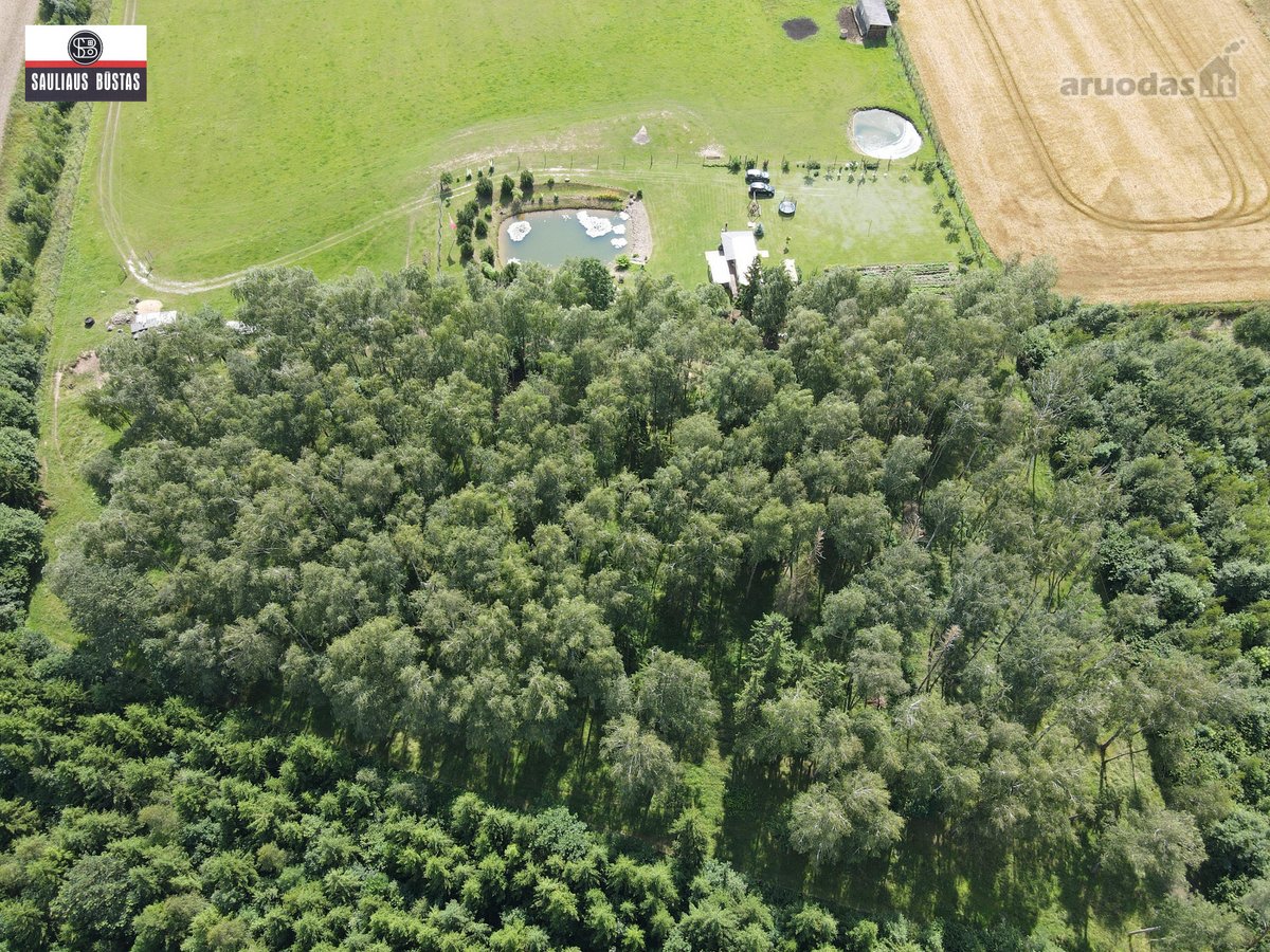 Parduodamas išskirtinio grožio 13,1588 ha - nuotraukos Nr. 8