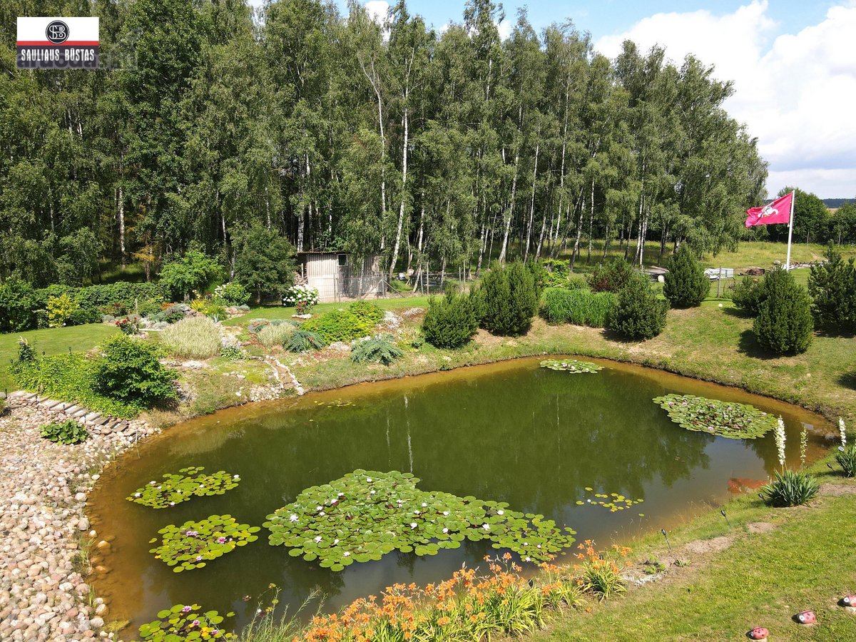 Parduodamas išskirtinio grožio 13,1588 ha - nuotraukos Nr. 13