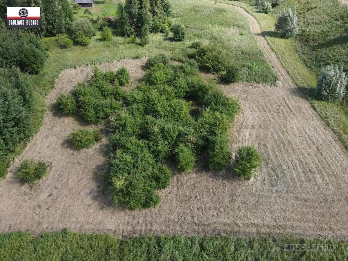 Parduodamas labai pigiai 36,98 a žemės - nuotraukos Nr. 4