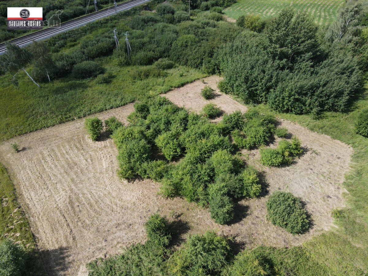 Parduodamas labai pigiai 36,98 a žemės - nuotraukos Nr. 9