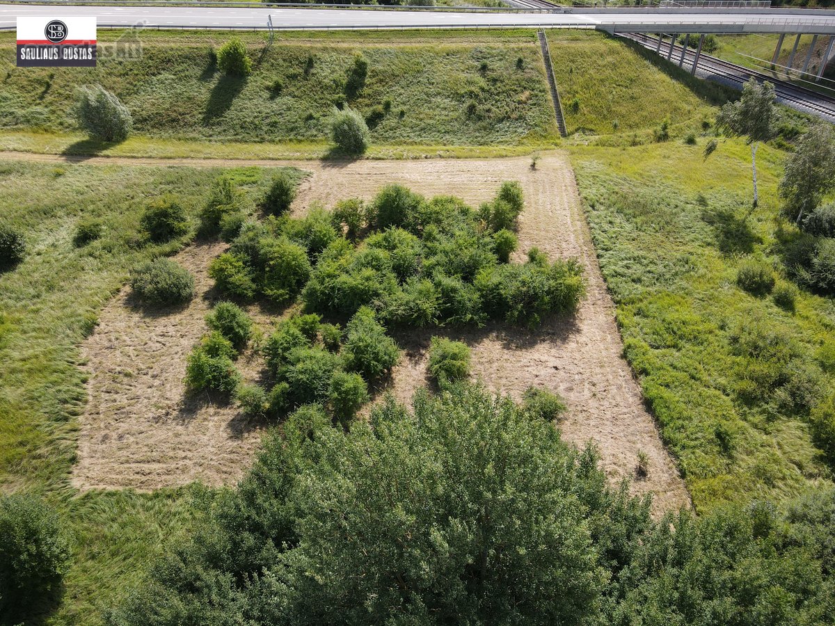 Parduodamas labai pigiai 36,98 a žemės - nuotraukos Nr. 6