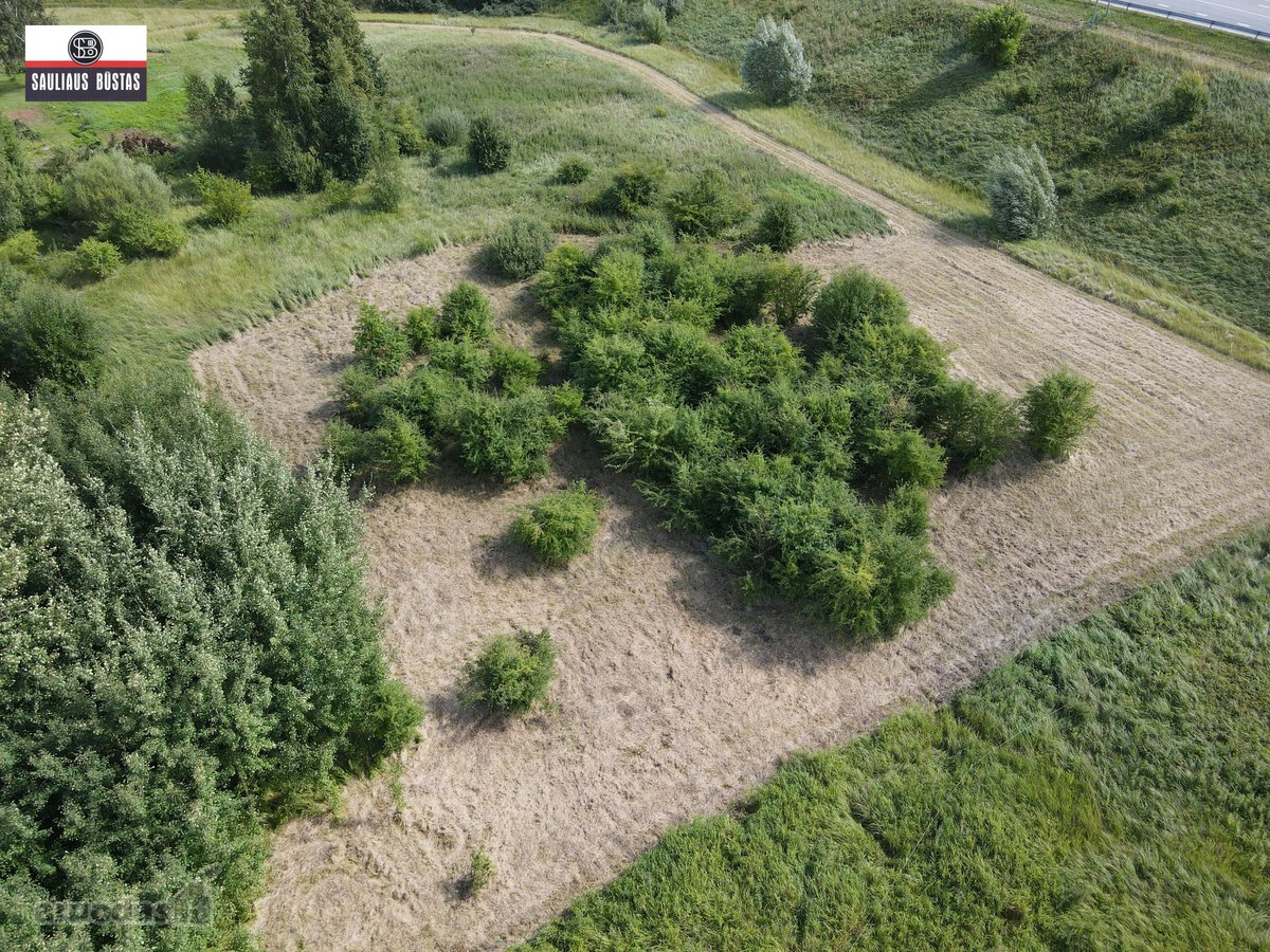 Parduodamas labai pigiai 36,98 a žemės - nuotraukos Nr. 5