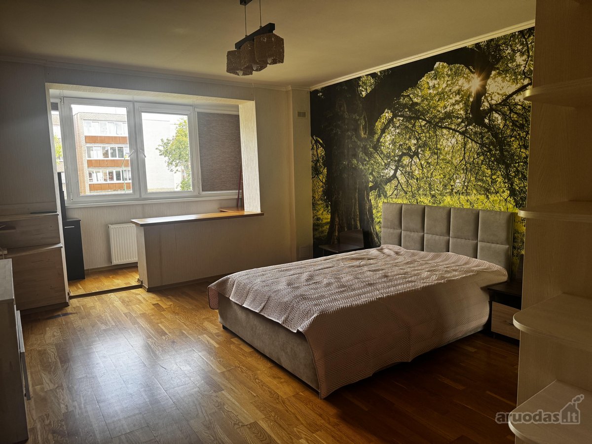 Nuomojamas Erdvus 2 Kambarių Butas Klaipėdoje - nuotraukos Nr. 14