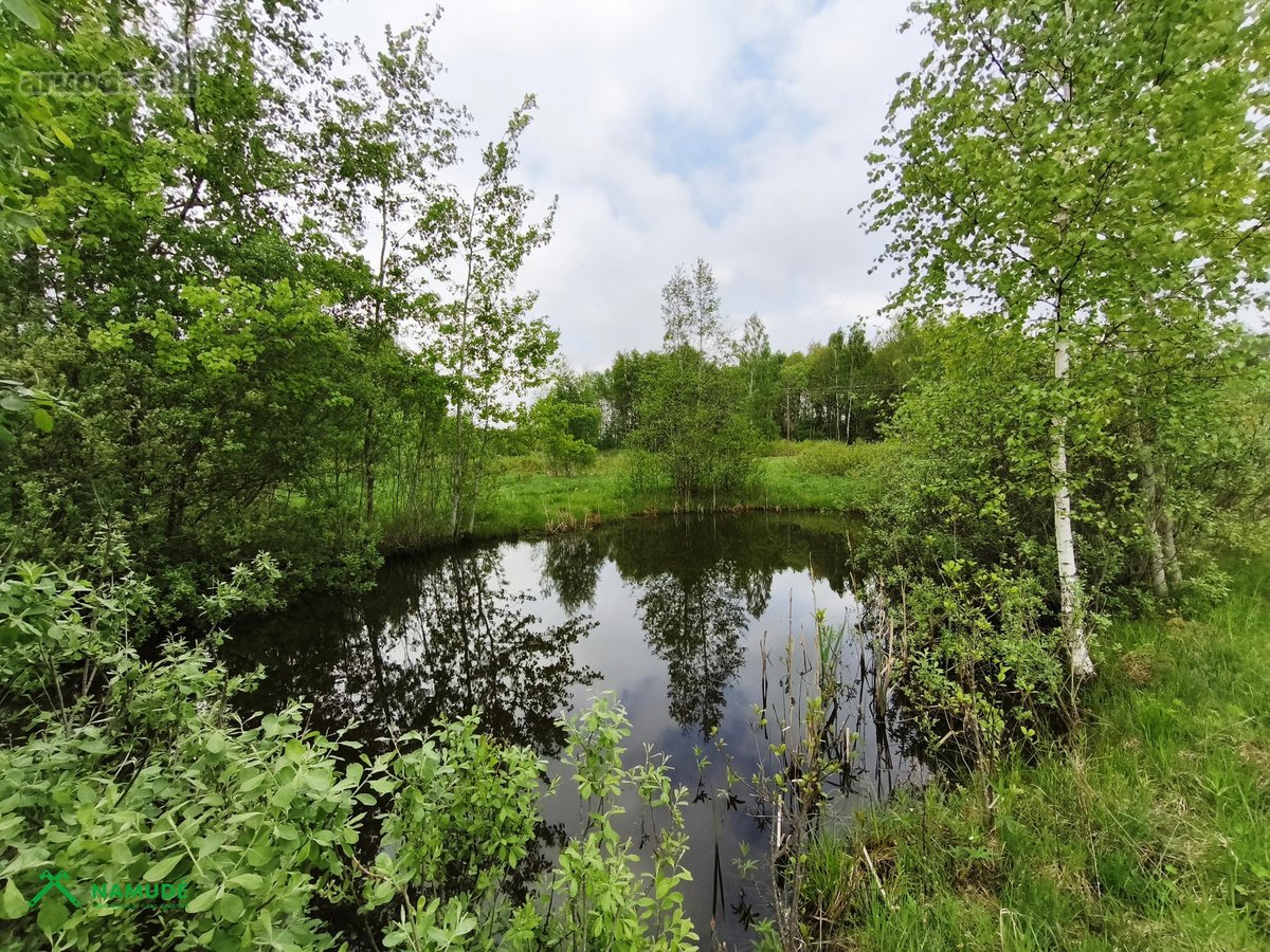 Parduodama Sodybvietė Su 6ha Žemės Sklypu – - nuotraukos Nr. 6