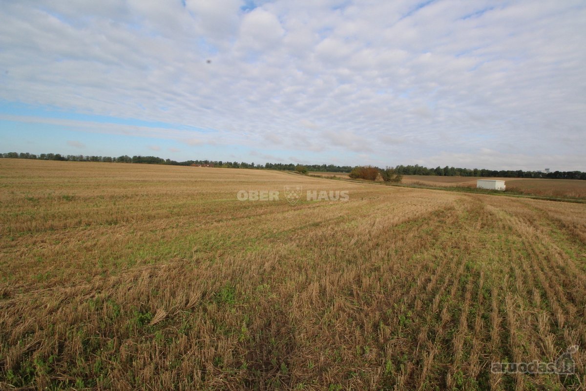 Du 0,95 ha ir 1,28 ha žemės ūkio paskirties - nuotraukos Nr. 8