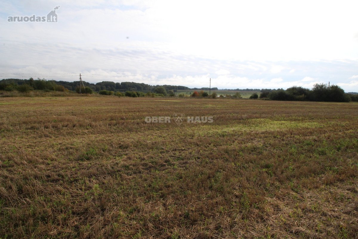 Du 0,95 ha ir 1,28 ha žemės ūkio paskirties - nuotraukos Nr. 9
