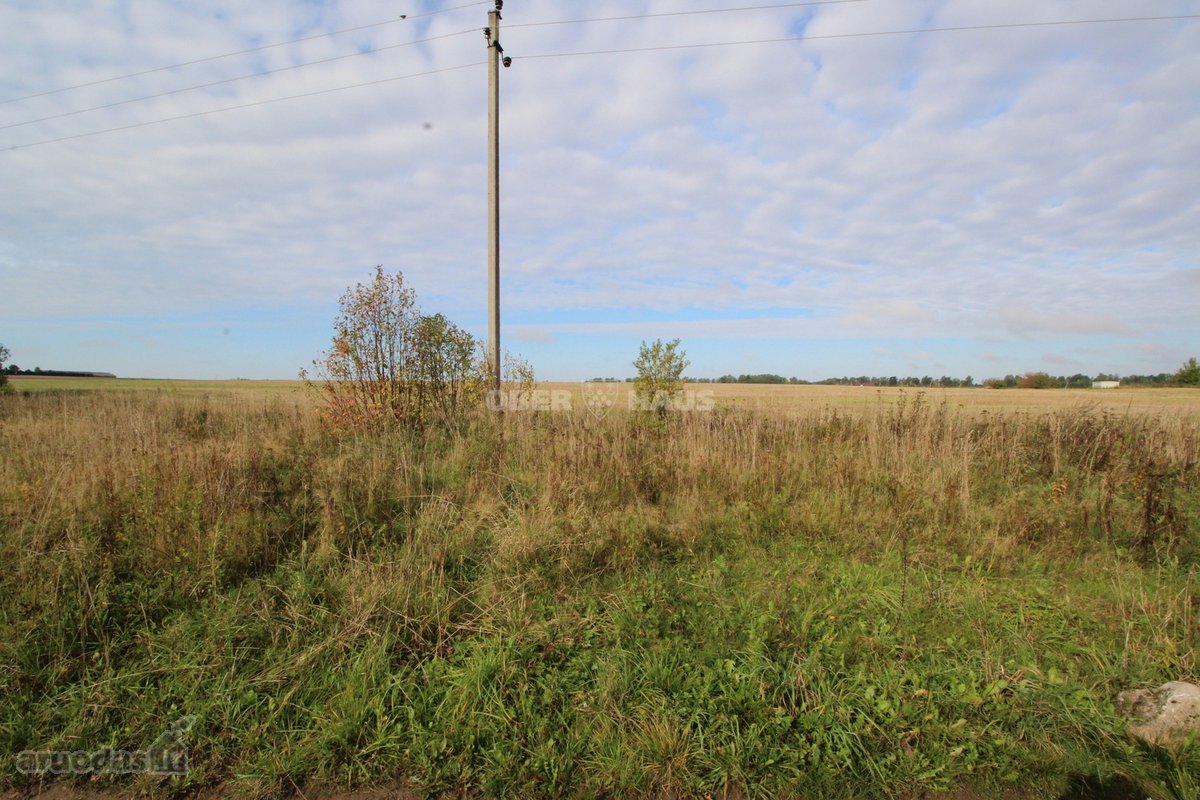 Du 0,95 ha ir 1,28 ha žemės ūkio paskirties - nuotraukos Nr. 10