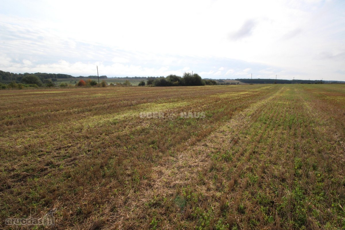 Du 0,95 ha ir 1,28 ha žemės ūkio paskirties - nuotraukos Nr. 12