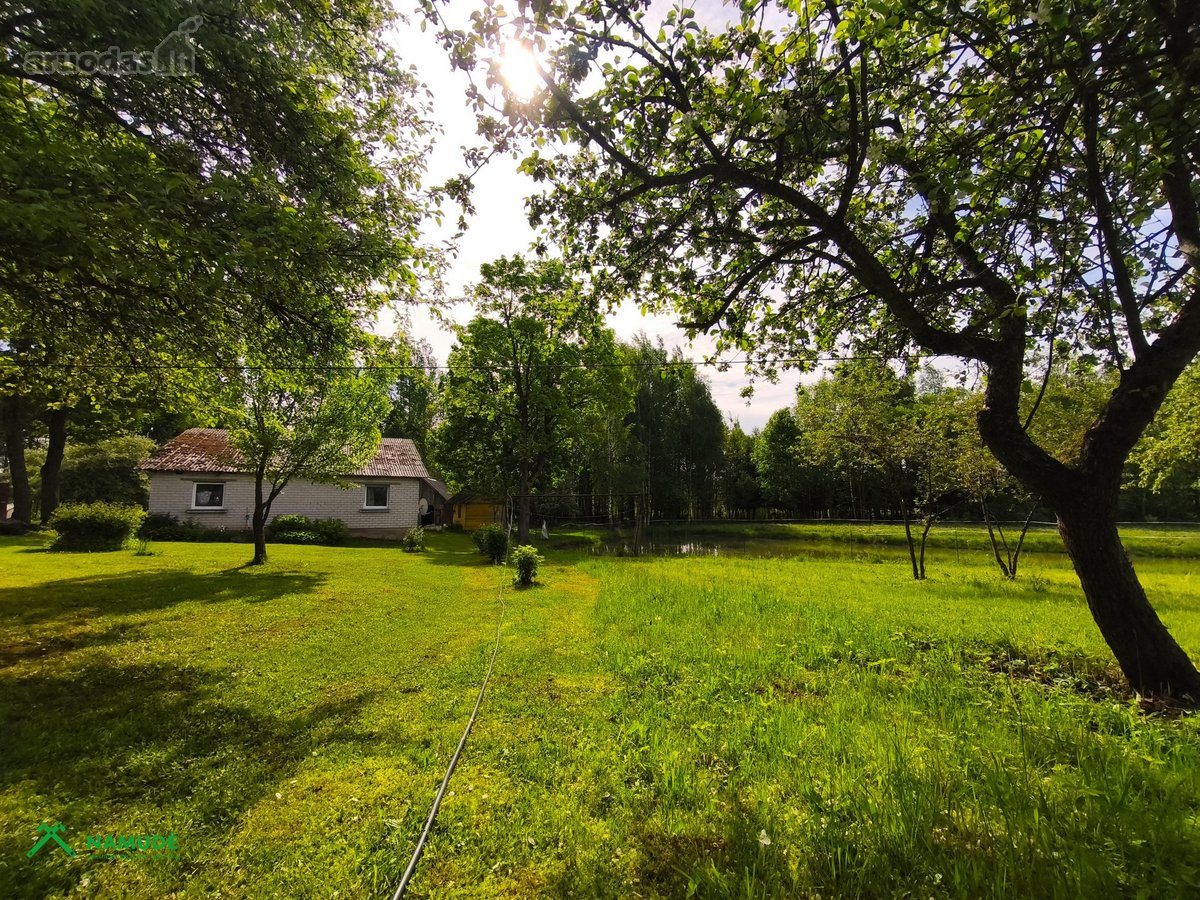 Parduodama sodyba vienkiemyje su 10ha žemės - nuotraukos Nr. 23