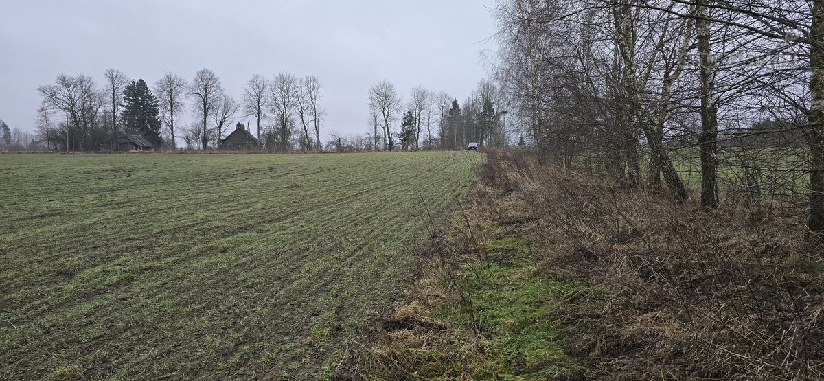 Parduodamas Dirbamas 5,9 ha žemės sklypas - nuotraukos Nr. 4