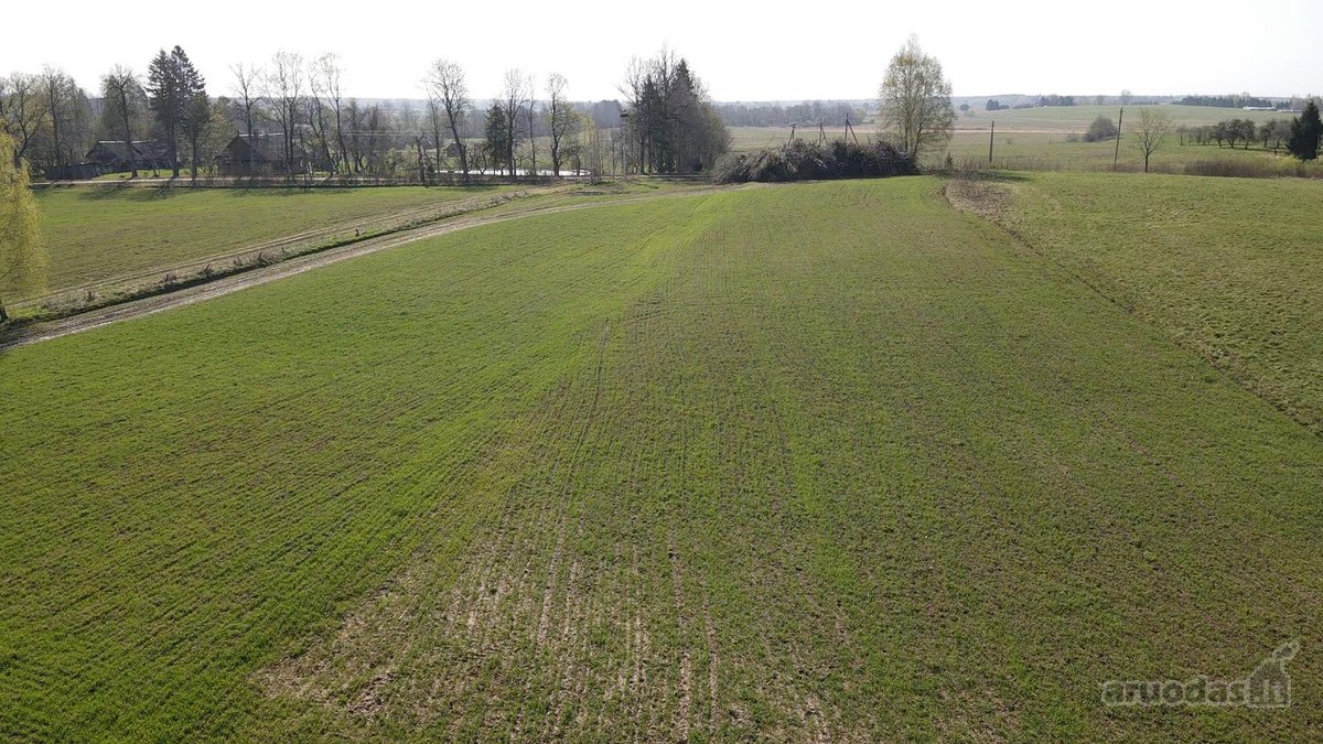 Parduodamas Dirbamas 5,9 ha žemės sklypas - nuotraukos Nr. 5