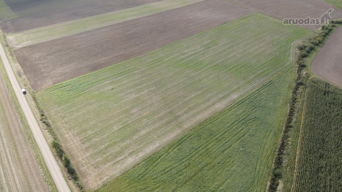 Parduodamas 3 ha žemės sklypas Šakių raj. - nuotraukos Nr. 3