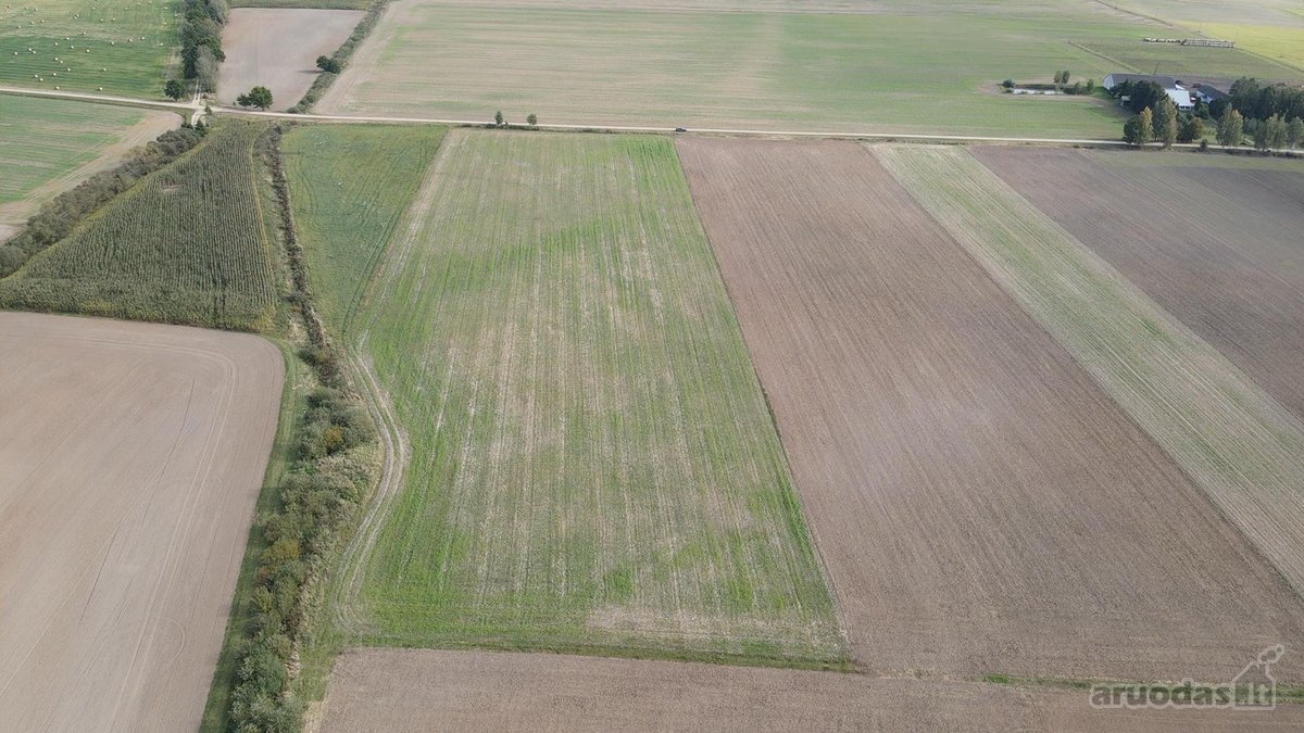 Parduodamas 3 ha žemės sklypas Šakių raj. - nuotraukos Nr. 4