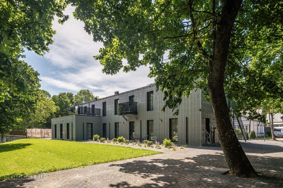 Pačiame miesto centre Basanavičiaus GT - nuotraukos Nr. 2