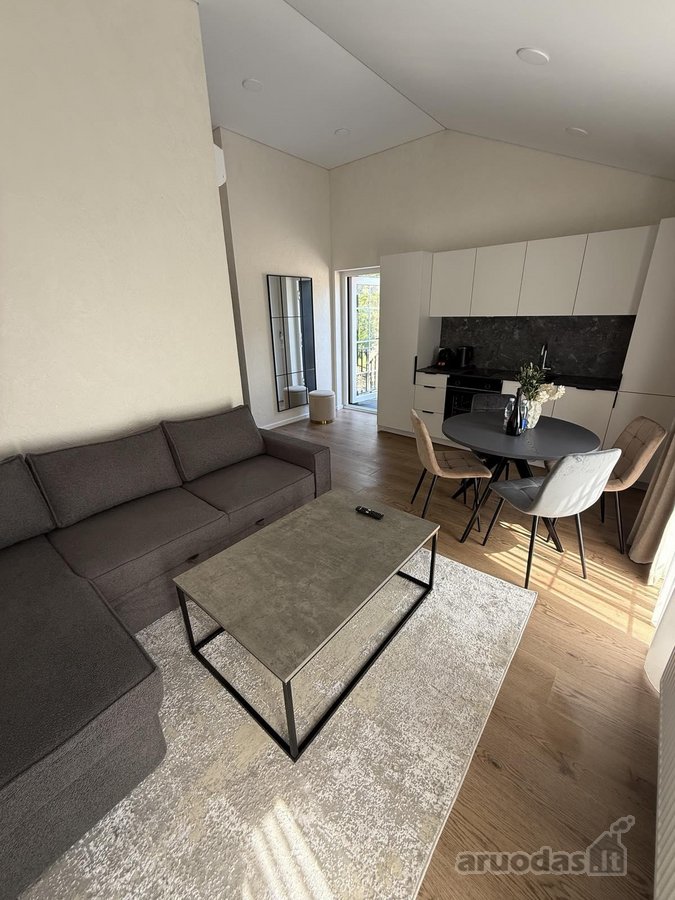 Pačiame miesto centre Basanavičiaus GT - nuotraukos Nr. 8