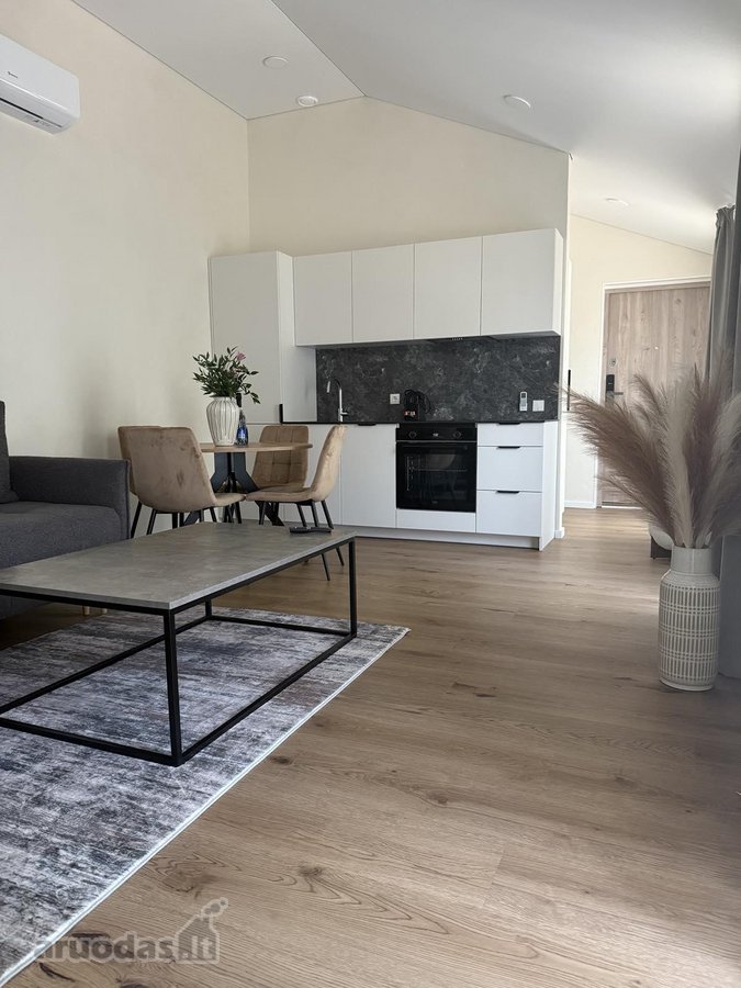 Pačiame miesto centre Basanavičiaus GT - nuotraukos Nr. 10