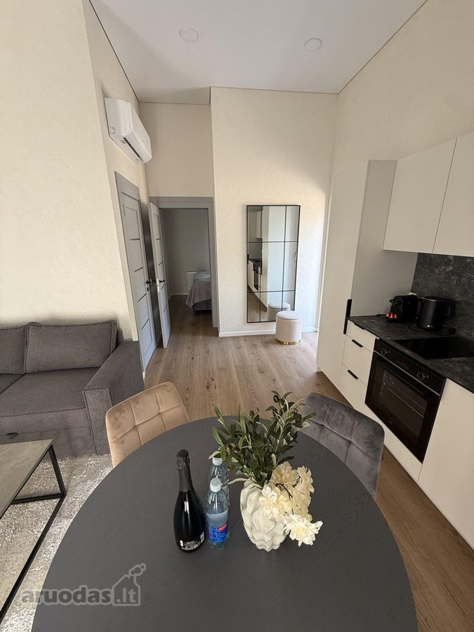 Pačiame miesto centre Basanavičiaus GT - nuotraukos Nr. 12