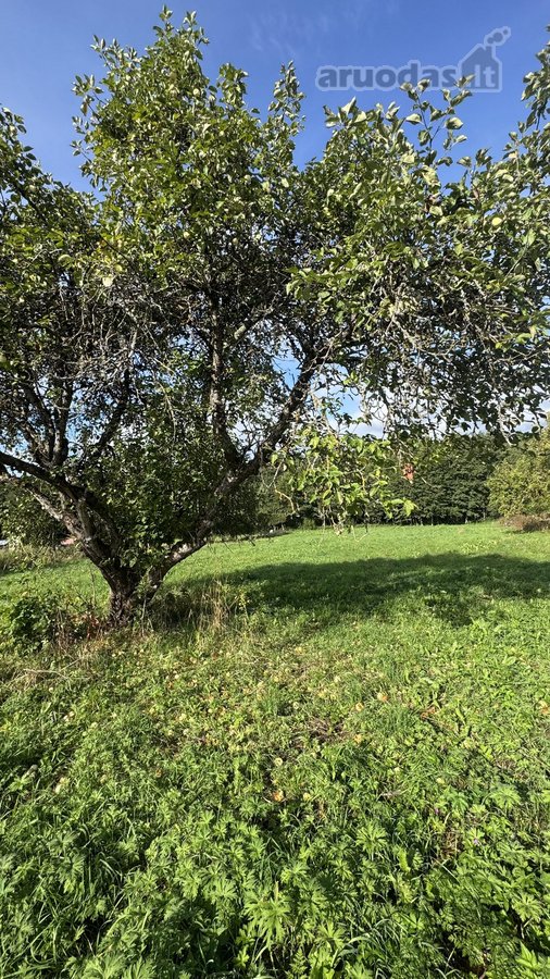 Parduodamas 26,29a sklypas Kenos km.,rukainių - nuotraukos Nr. 2