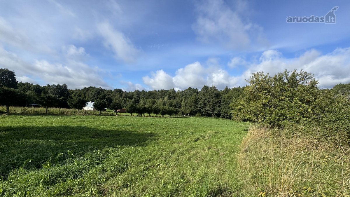 Parduodamas 26,29a sklypas Kenos km.,rukainių - nuotraukos Nr. 3
